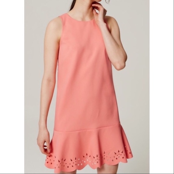 LOFT Dresses & Skirts - Loft Laser Cut Dress 14 NWT